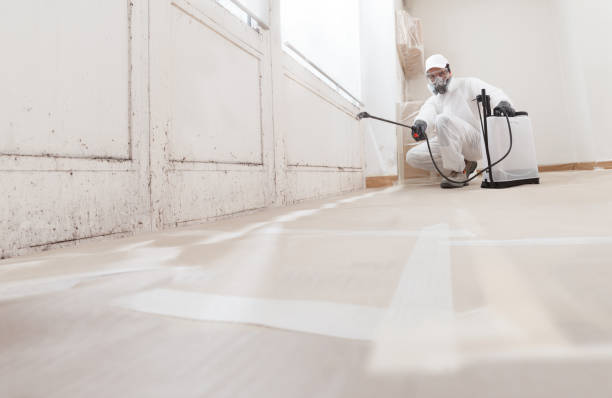 Post-remediation clearance in Lyndhurst
